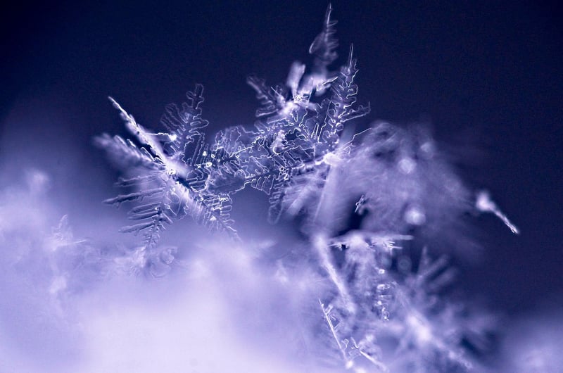 Snowflake Pavilion